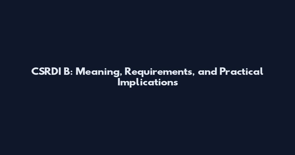 CSRDI B: Meaning, Requirements, and Practical Implications