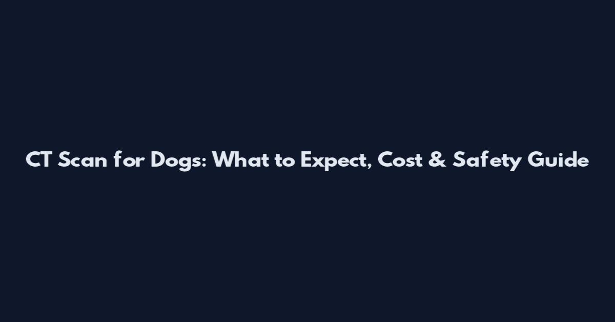 CT Scan for Dogs: What to Expect, Cost & Safety Guide