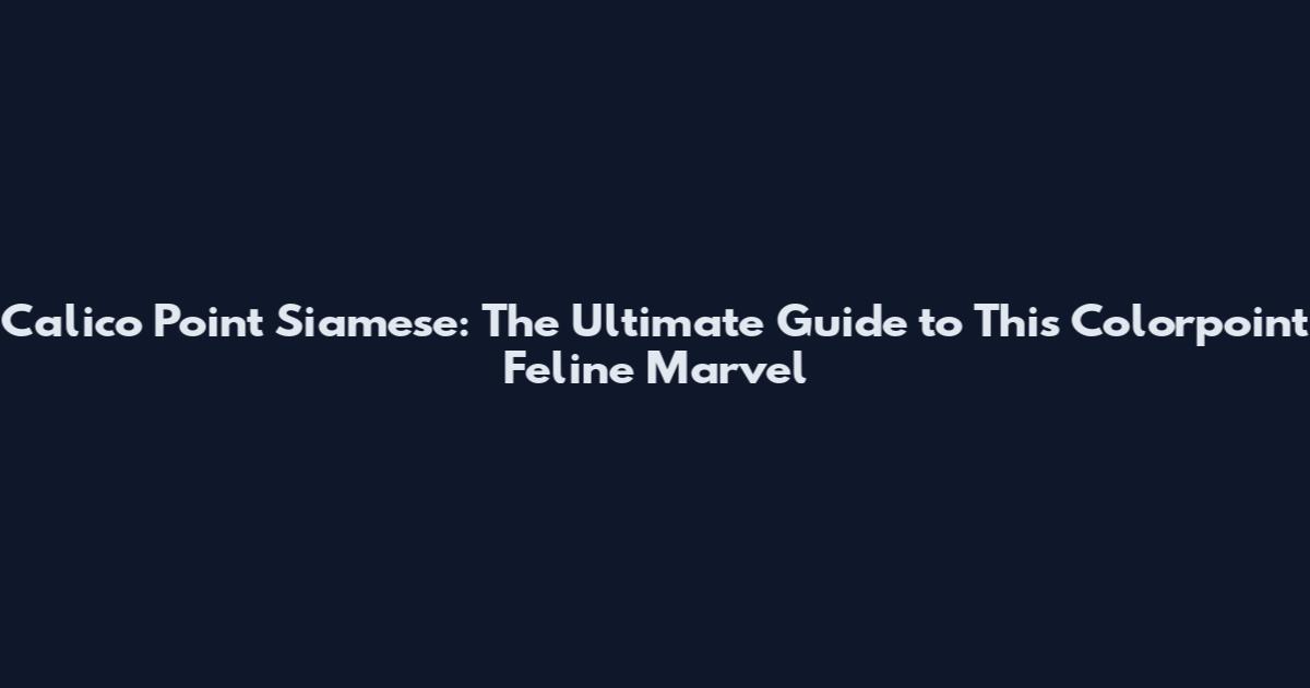 Calico Point Siamese: The Ultimate Guide to This Colorpoint Feline Marvel