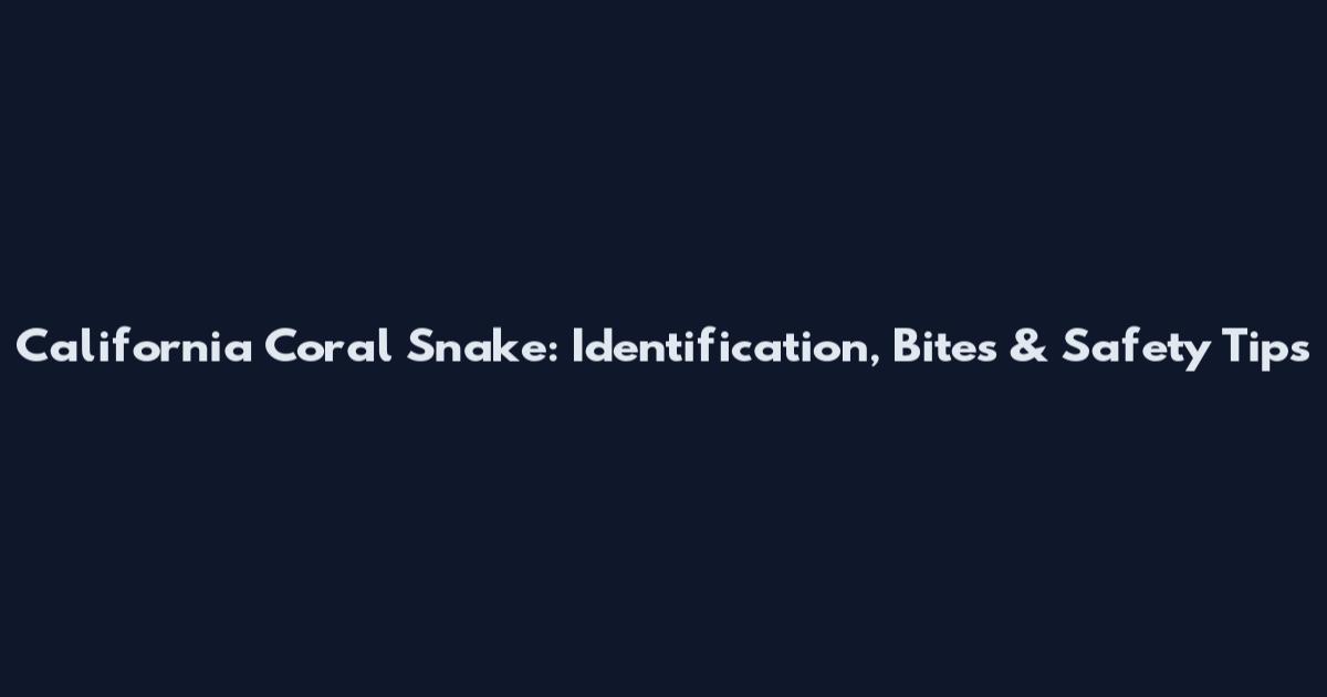 California Coral Snake: Identification, Bites & Safety Tips