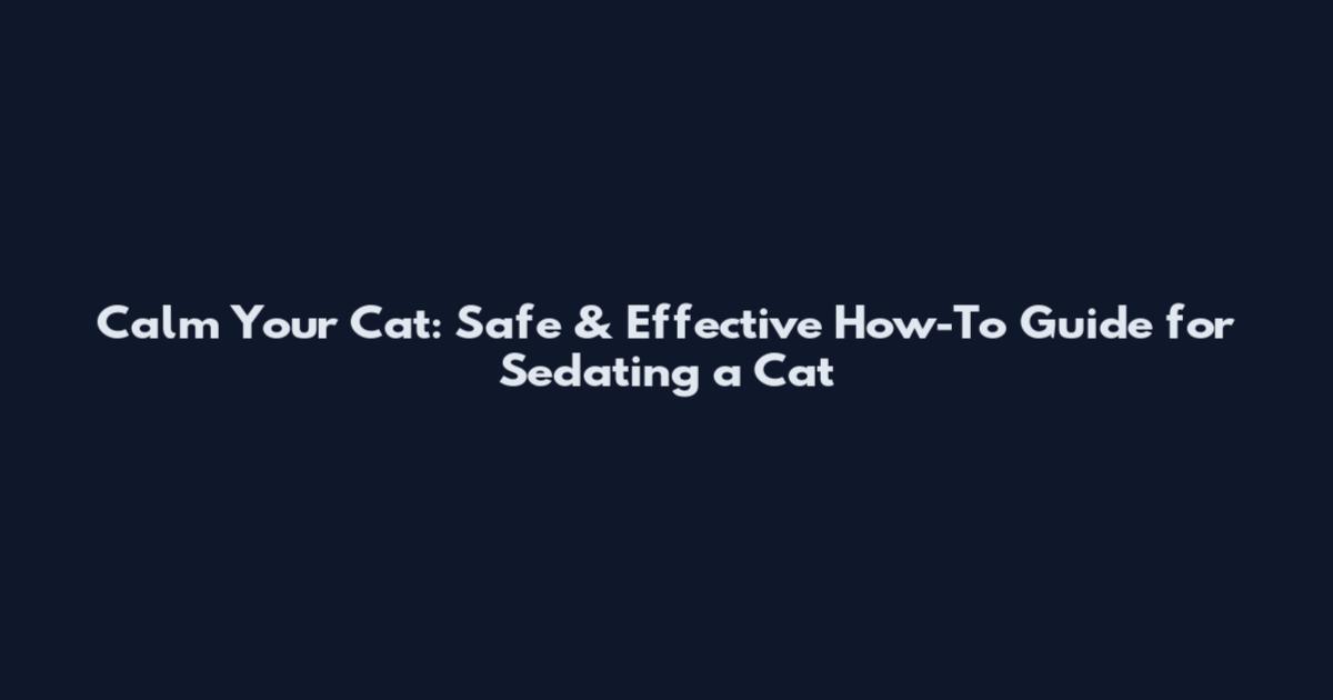 Calm Your Cat: Safe & Effective How-To Guide for Sedating a Cat