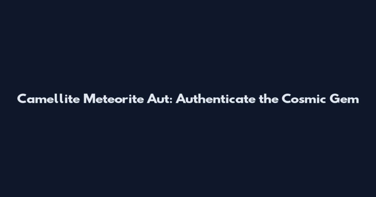Camellite Meteorite Aut: Authenticate the Cosmic Gem