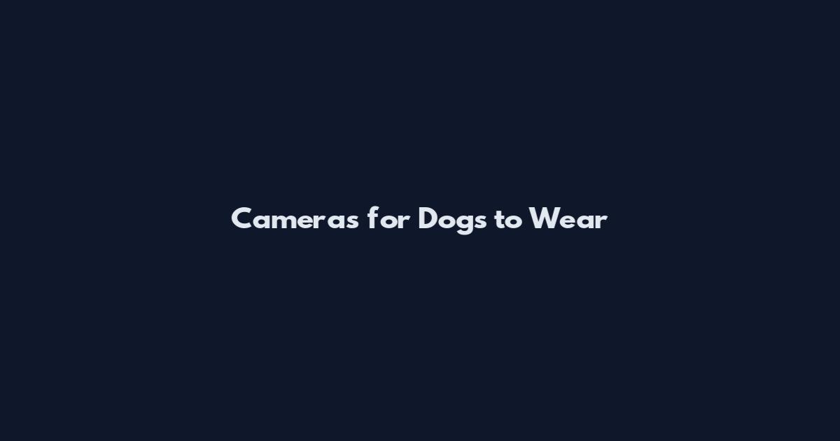 Cameras for Dogs to Wear