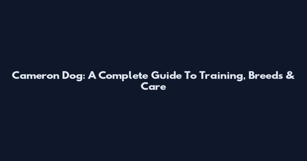 Cameron Dog: A Complete Guide To Training, Breeds & Care