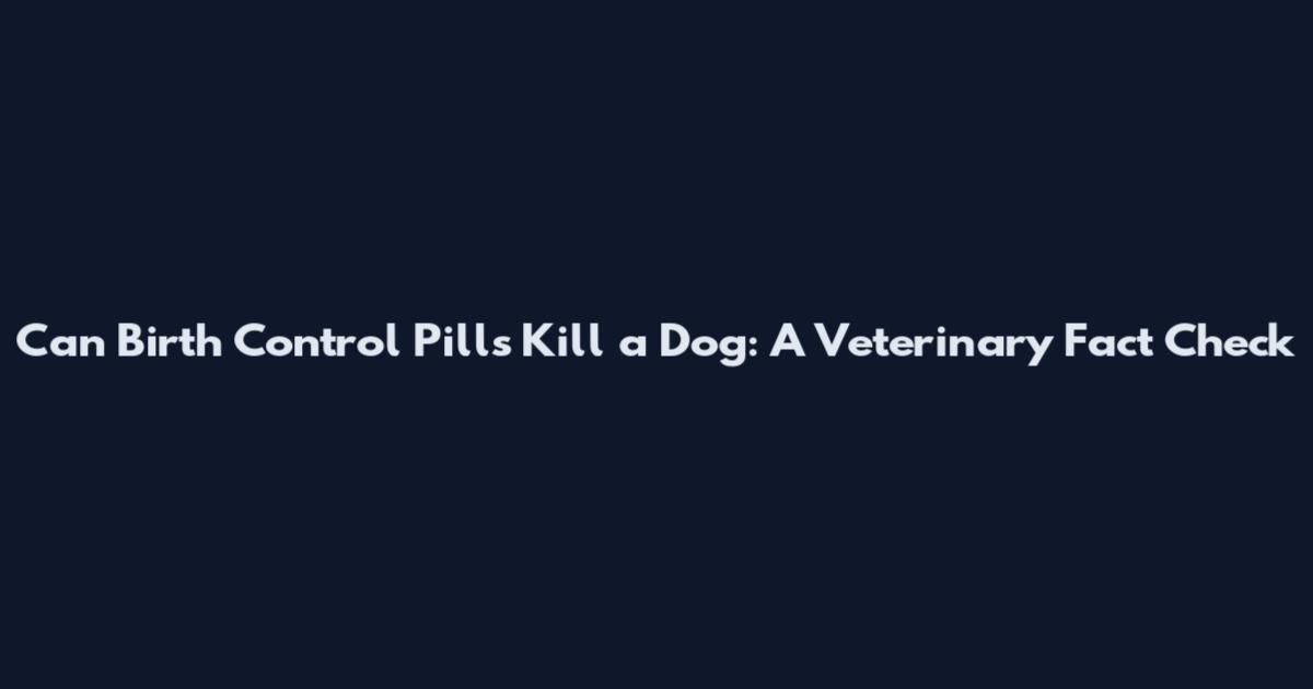 Can Birth Control Pills Kill a Dog: A Veterinary Fact Check