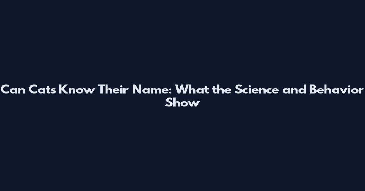 Can Cats Know Their Name: What the Science and Behavior Show