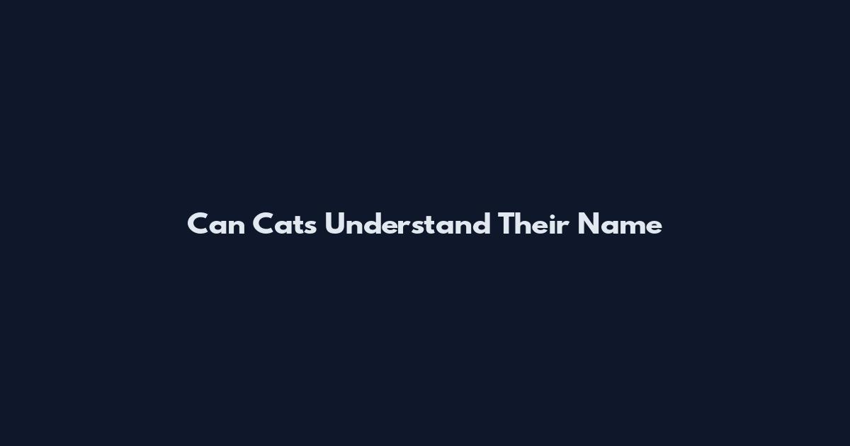 Can Cats Understand Their Name