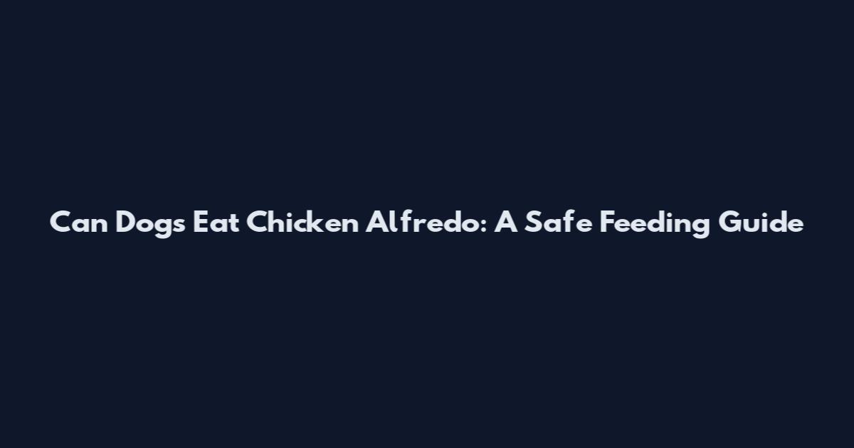 Can Dogs Eat Chicken Alfredo: A Safe Feeding Guide