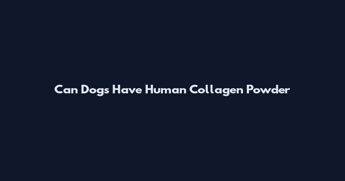 Can Dogs Have Human Collagen Powder