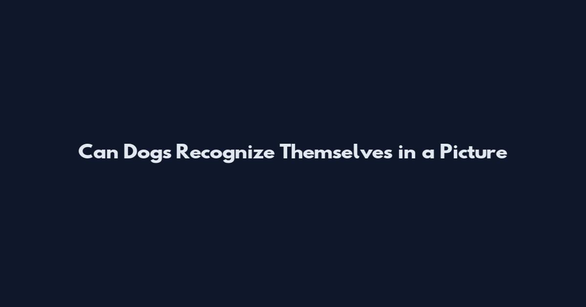 Can Dogs Recognize Themselves in a Picture
