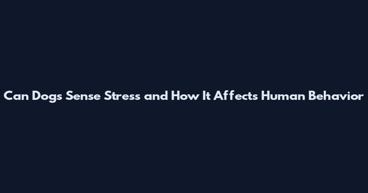 Can Dogs Sense Stress and How It Affects Human Behavior