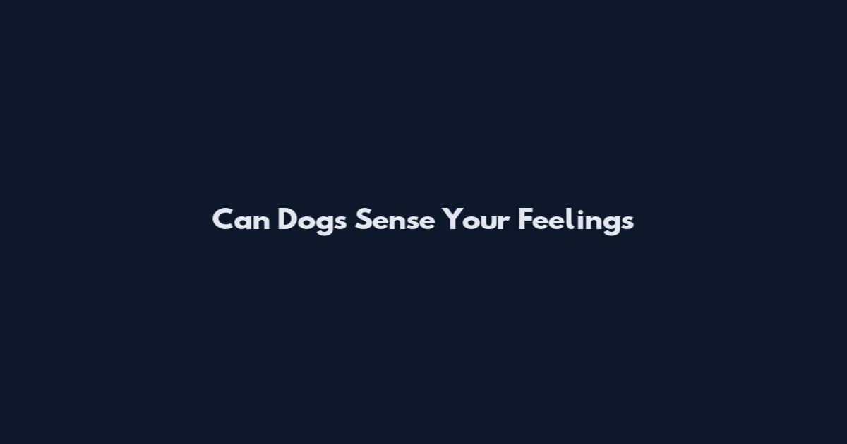 Can Dogs Sense Your Feelings