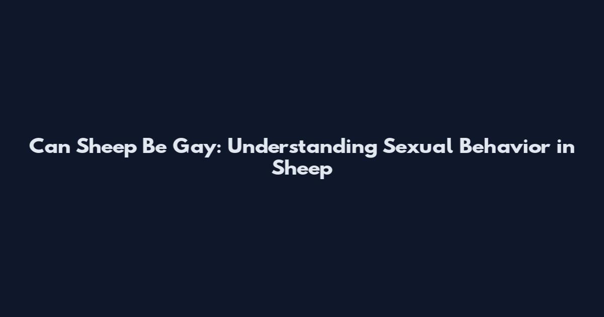 Can Sheep Be Gay: Understanding Sexual Behavior in Sheep