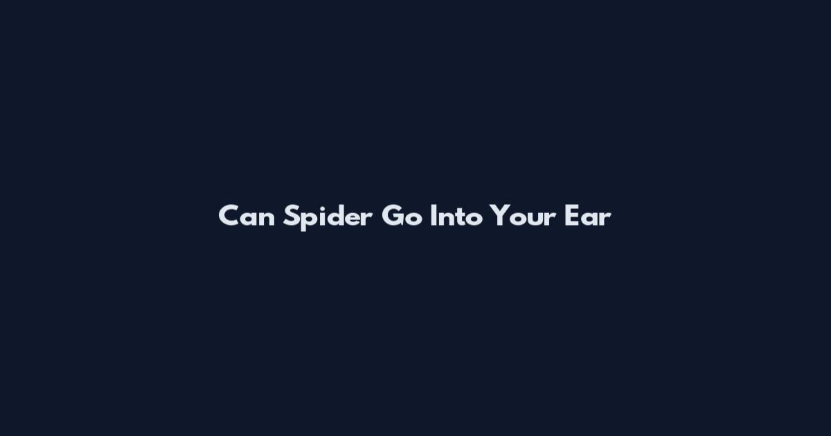 Can Spider Go Into Your Ear
