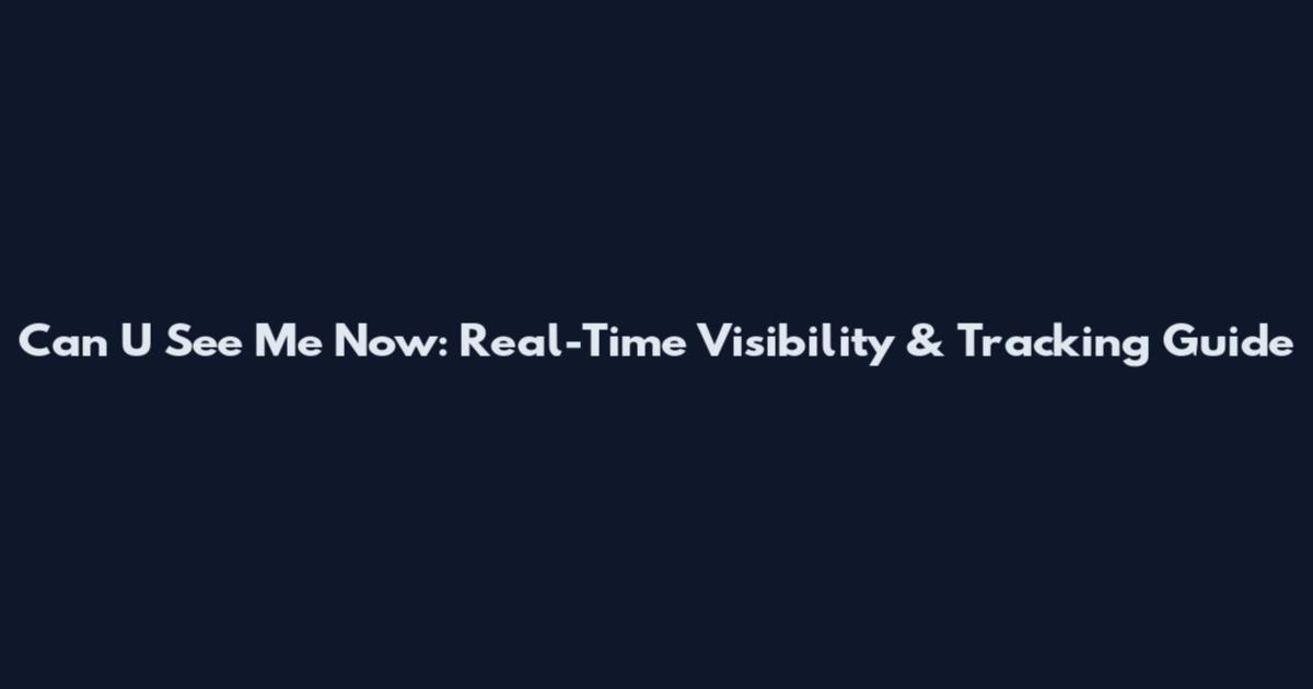 Can U See Me Now: Real-Time Visibility & Tracking Guide
