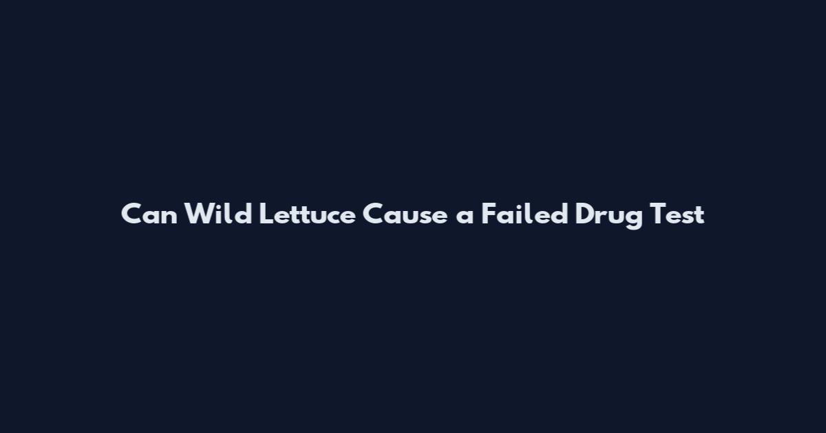 Can Wild Lettuce Cause a Failed Drug Test
