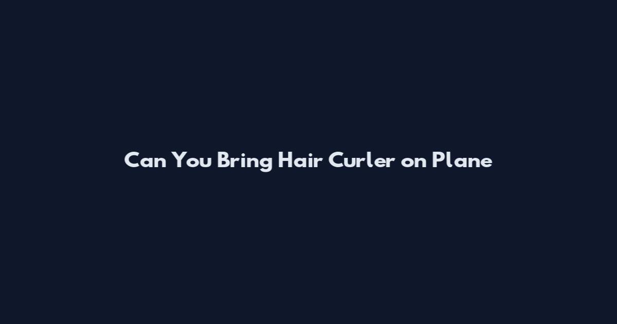 Can You Bring Hair Curler on Plane