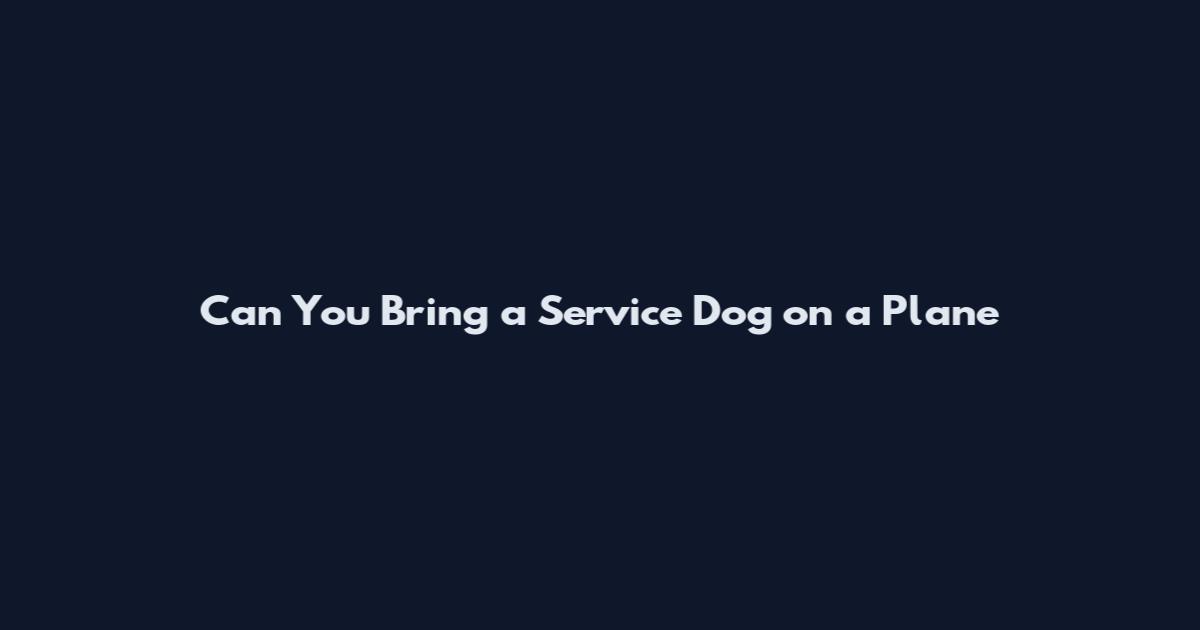Can You Bring a Service Dog on a Plane
