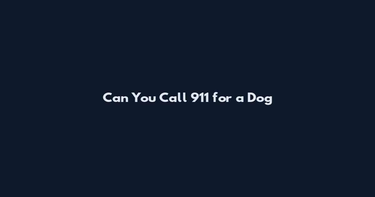 Can You Call 911 for a Dog