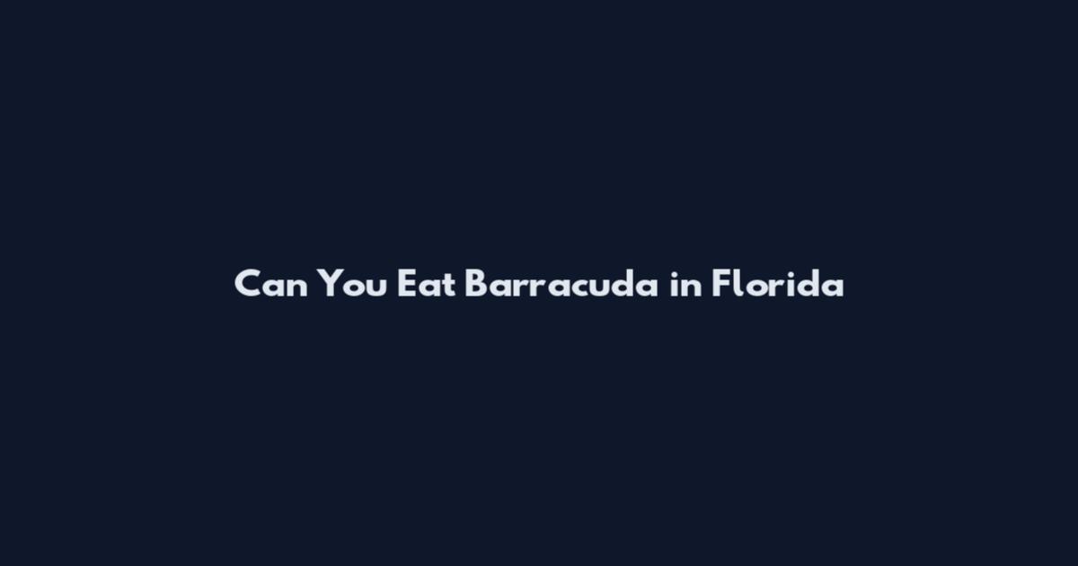 Can You Eat Barracuda in Florida