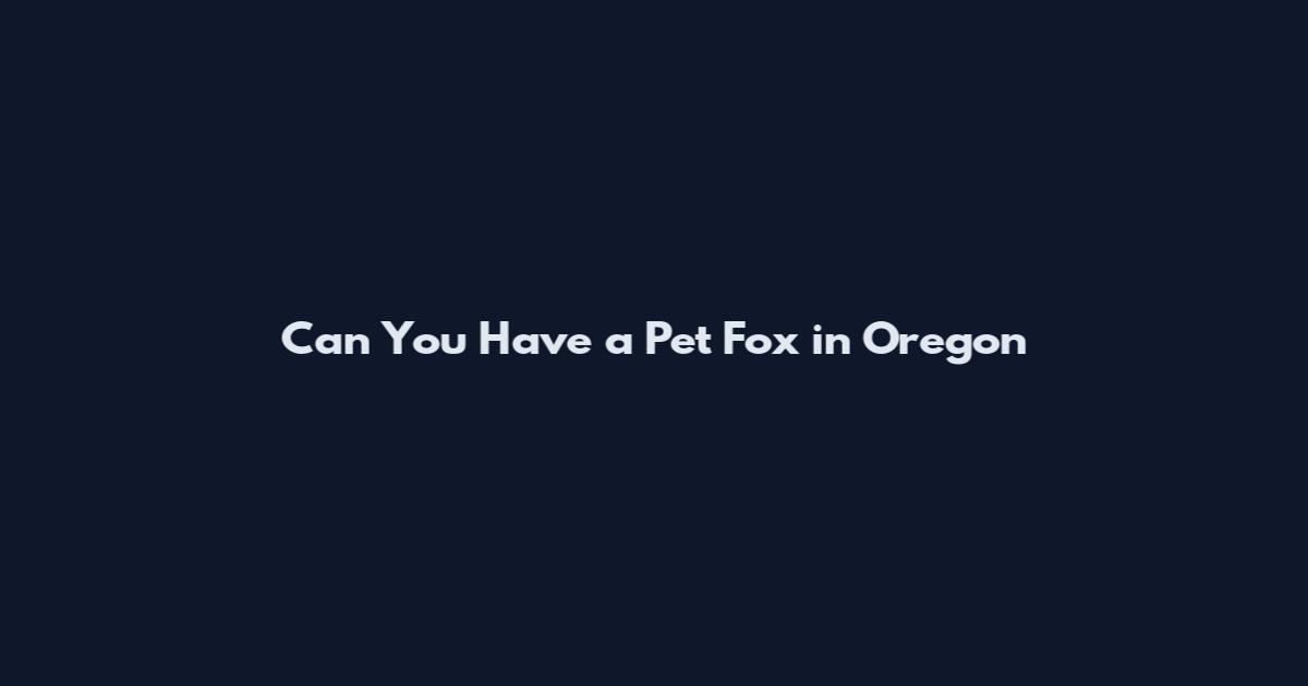 Can You Have a Pet Fox in Oregon