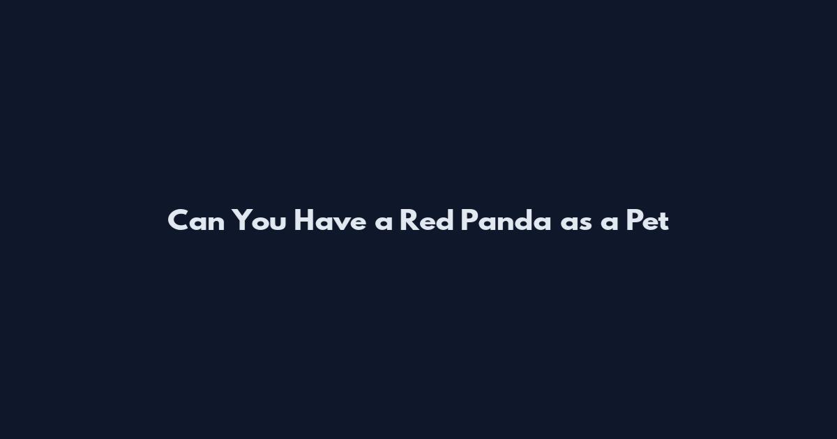 Can You Have a Red Panda as a Pet