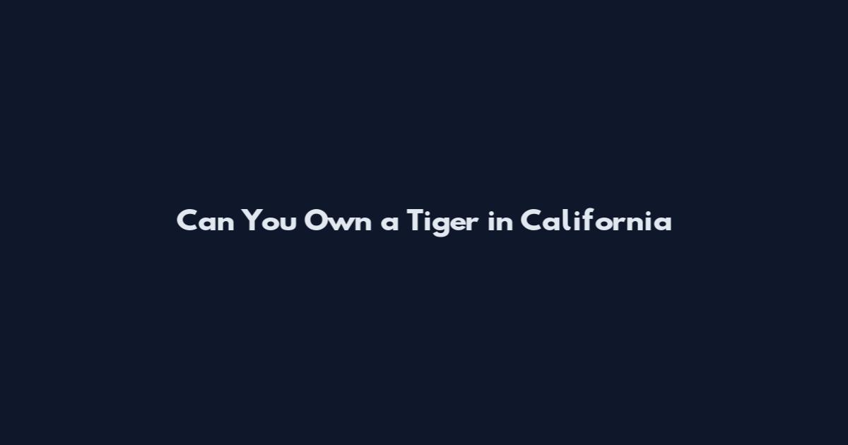 Can You Own a Tiger in California