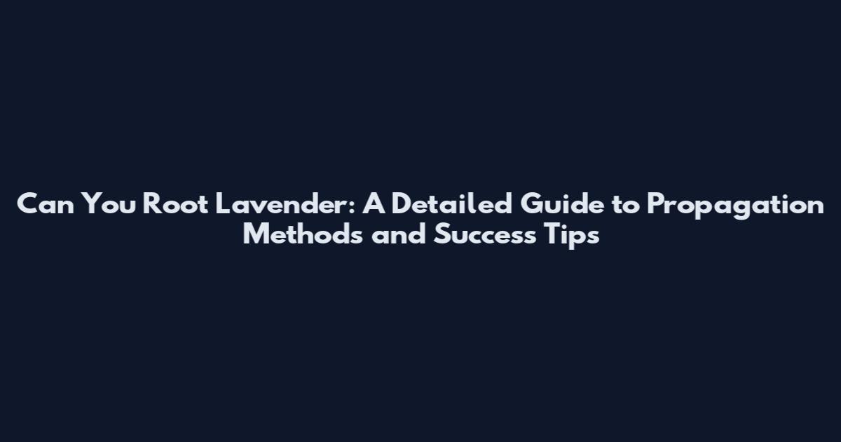 Can You Root Lavender: A Detailed Guide to Propagation Methods and Success Tips