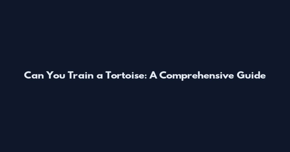 Can You Train a Tortoise: A Comprehensive Guide