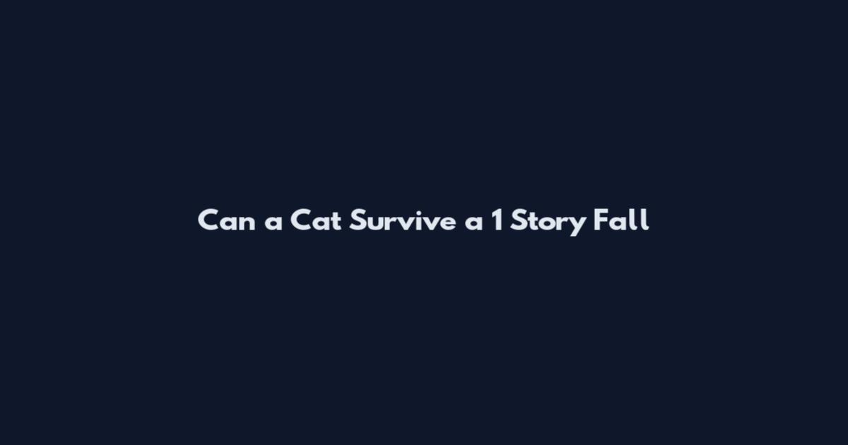Can a Cat Survive a 1 Story Fall