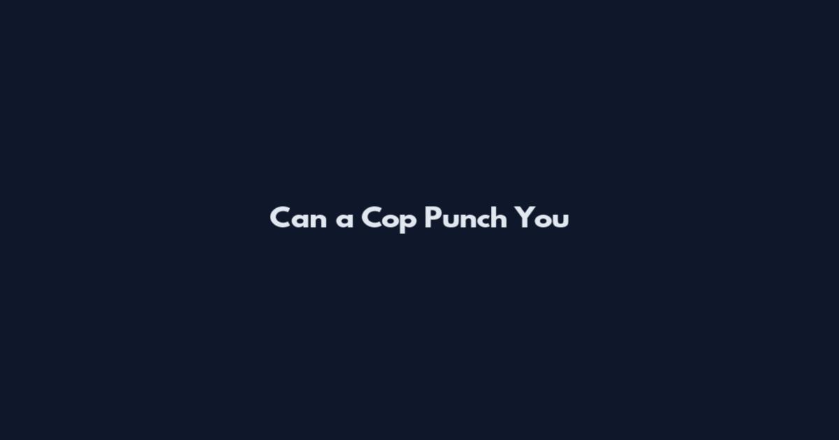 Can a Cop Punch You
