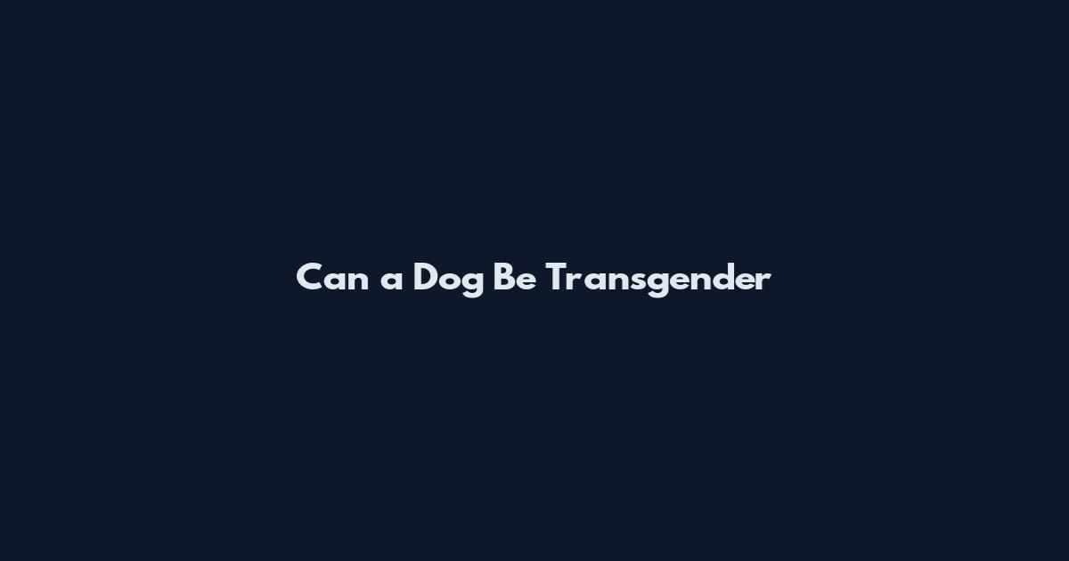 Can a Dog Be Transgender