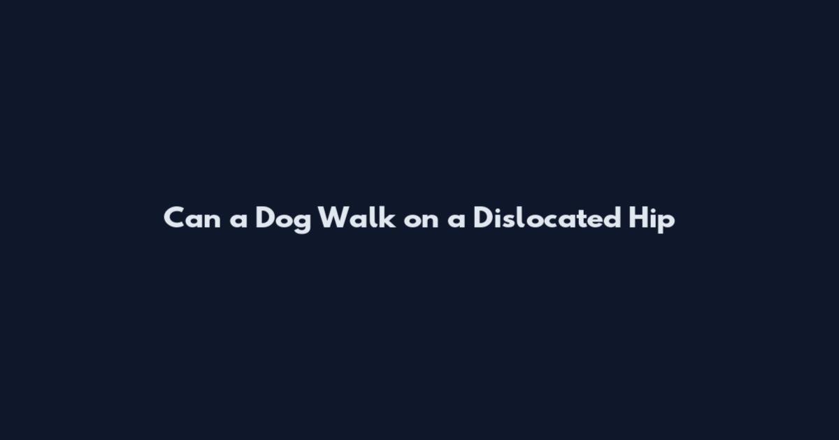 Can a Dog Walk on a Dislocated Hip