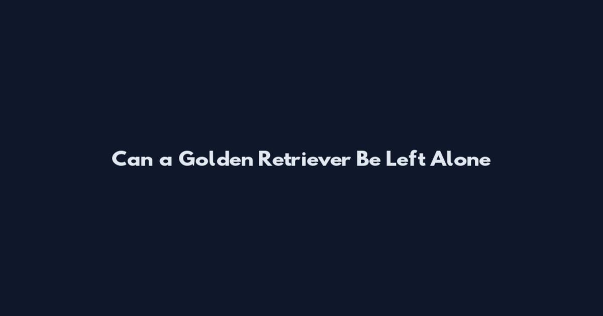 Can a Golden Retriever Be Left Alone