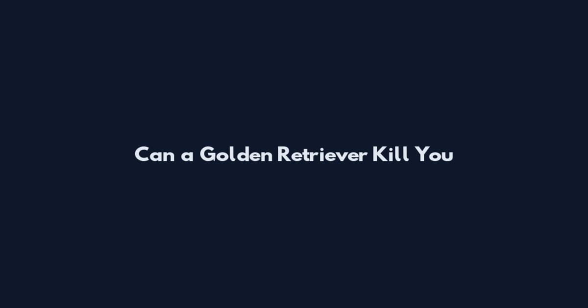 Can a Golden Retriever Kill You