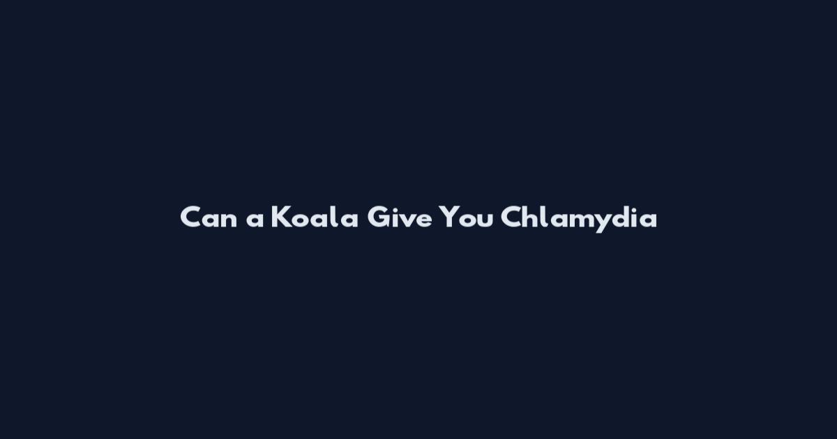 Can a Koala Give You Chlamydia