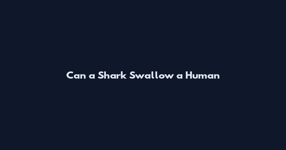 Can a Shark Swallow a Human