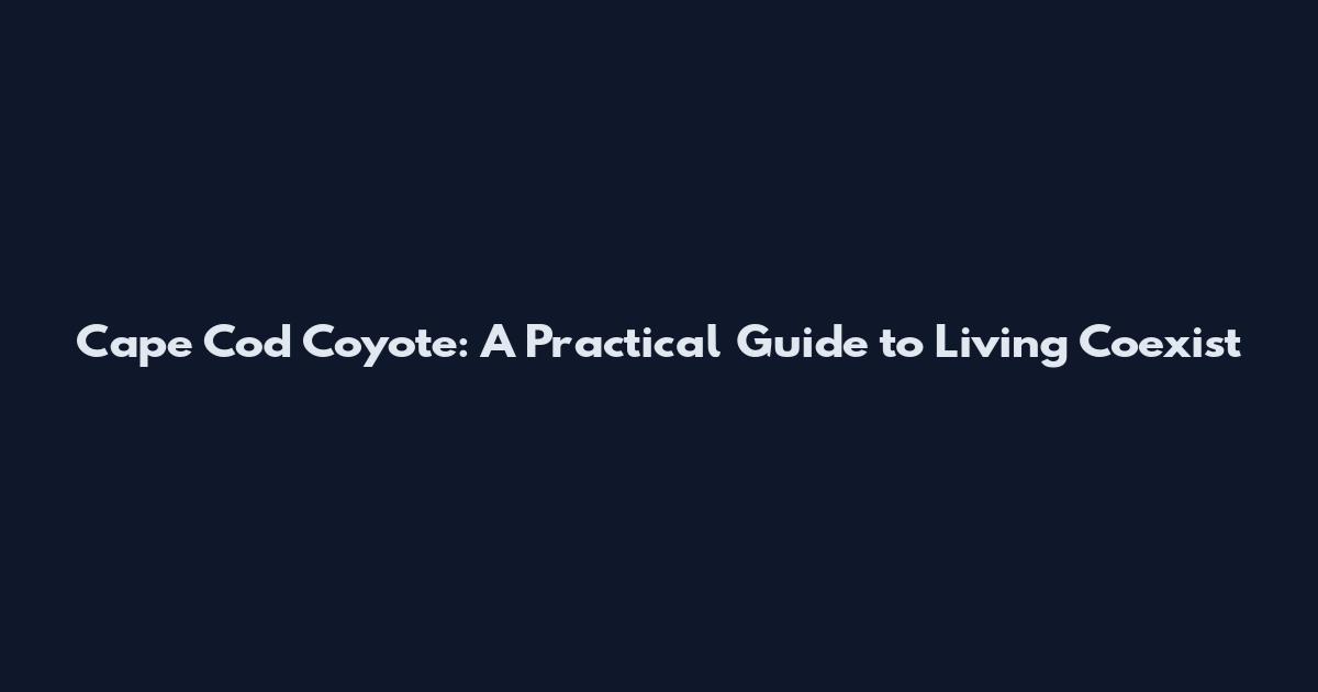 Cape Cod Coyote: A Practical Guide to Living Coexist