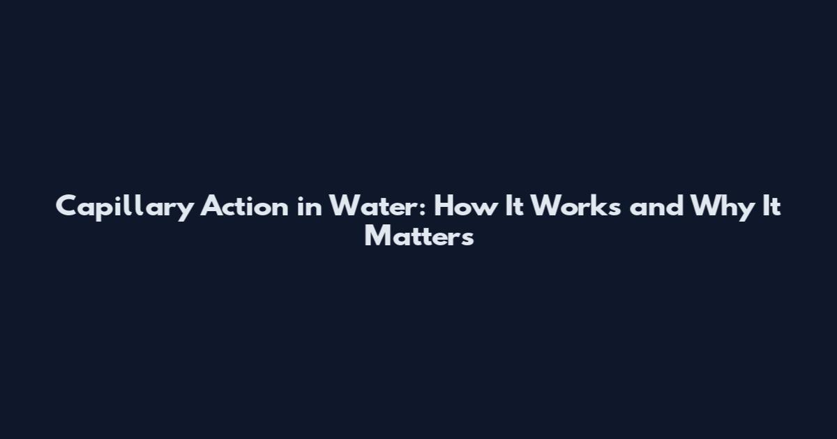 Capillary Action in Water: How It Works and Why It Matters