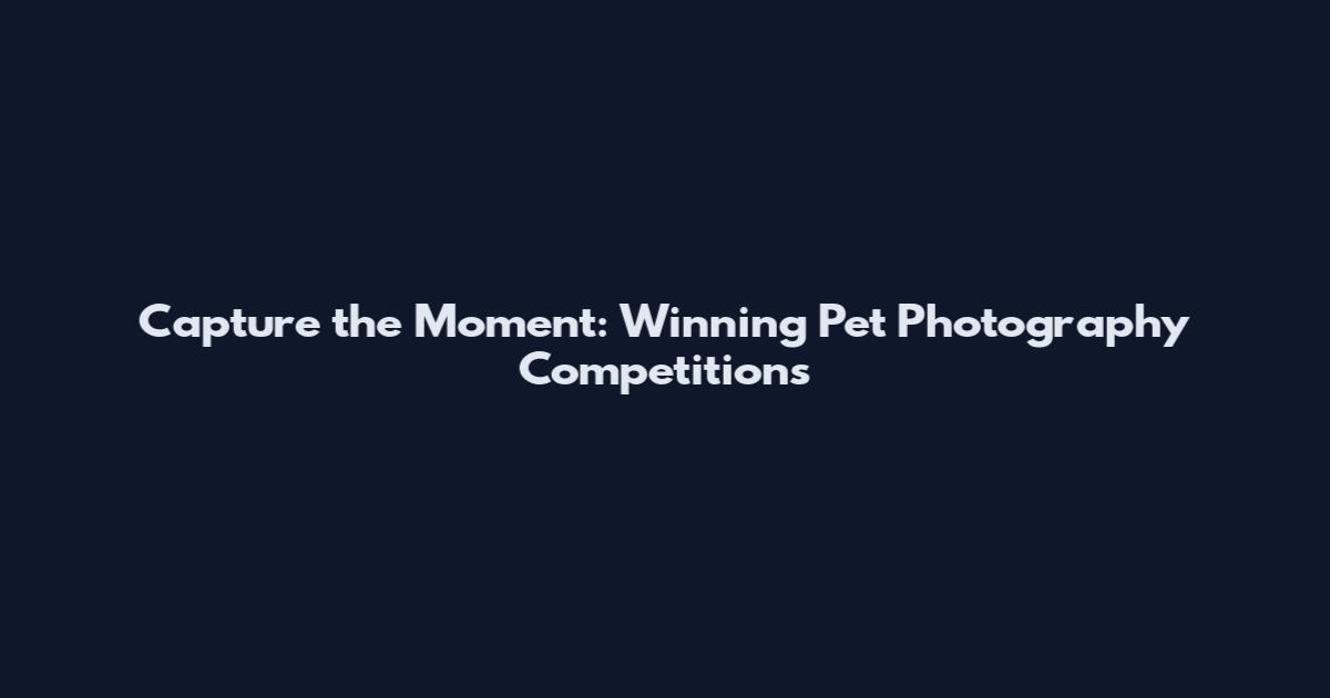 Capture the Moment: Winning Pet Photography Competitions