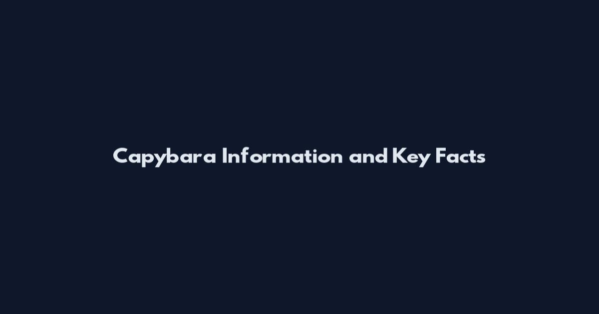 Capybara Information and Key Facts
