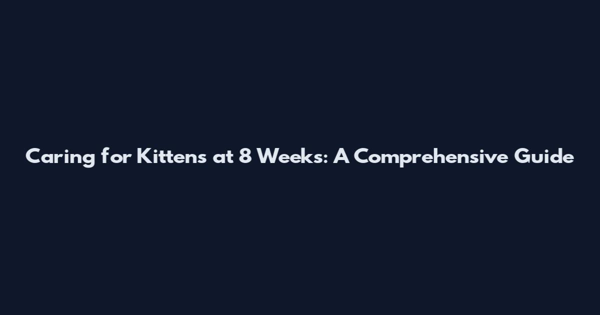 Caring for Kittens at 8 Weeks: A Comprehensive Guide