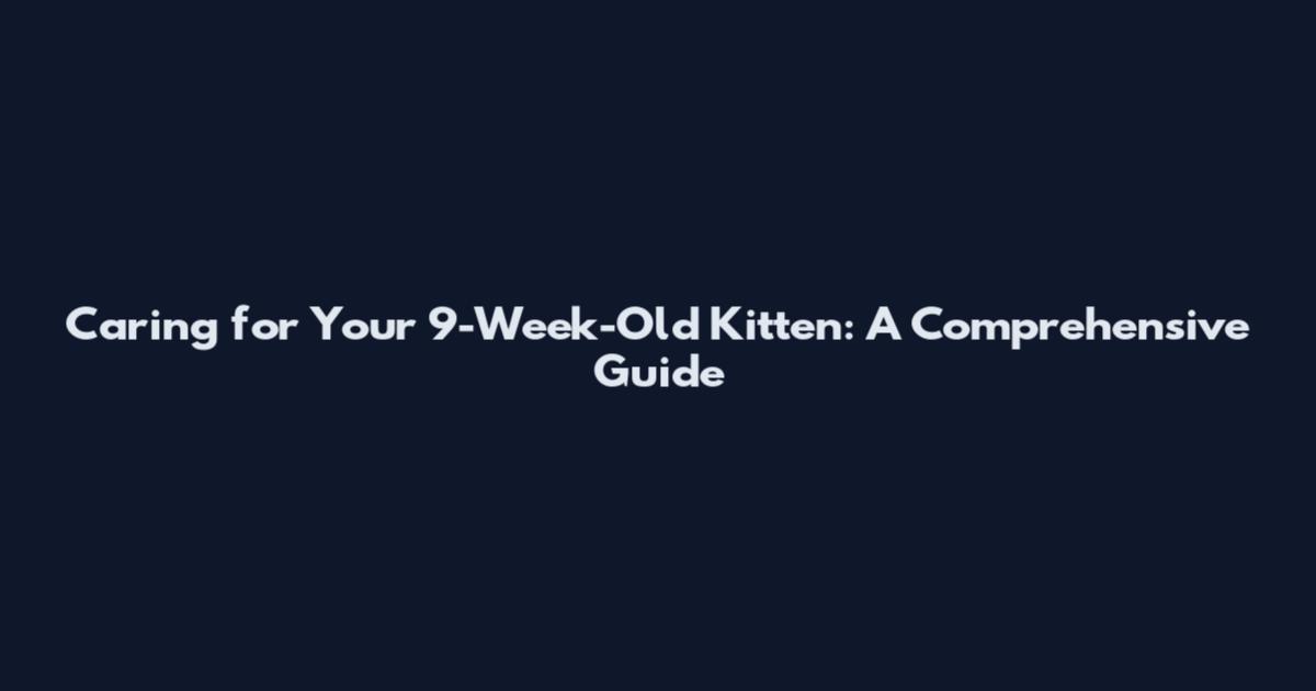 Caring for Your 9-Week-Old Kitten: A Comprehensive Guide
