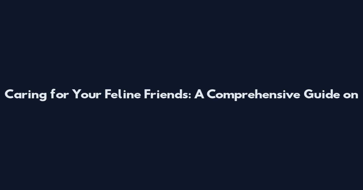 Caring for Your Feline Friends: A Comprehensive Guide on