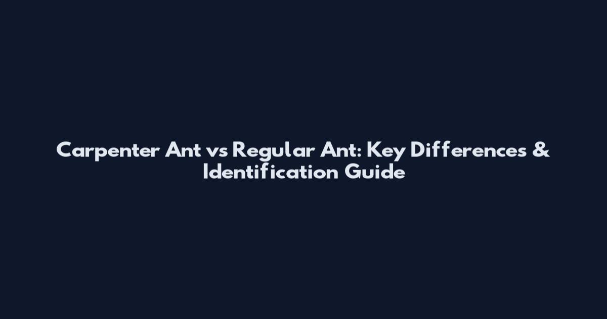 Carpenter Ant vs Regular Ant: Key Differences & Identification Guide