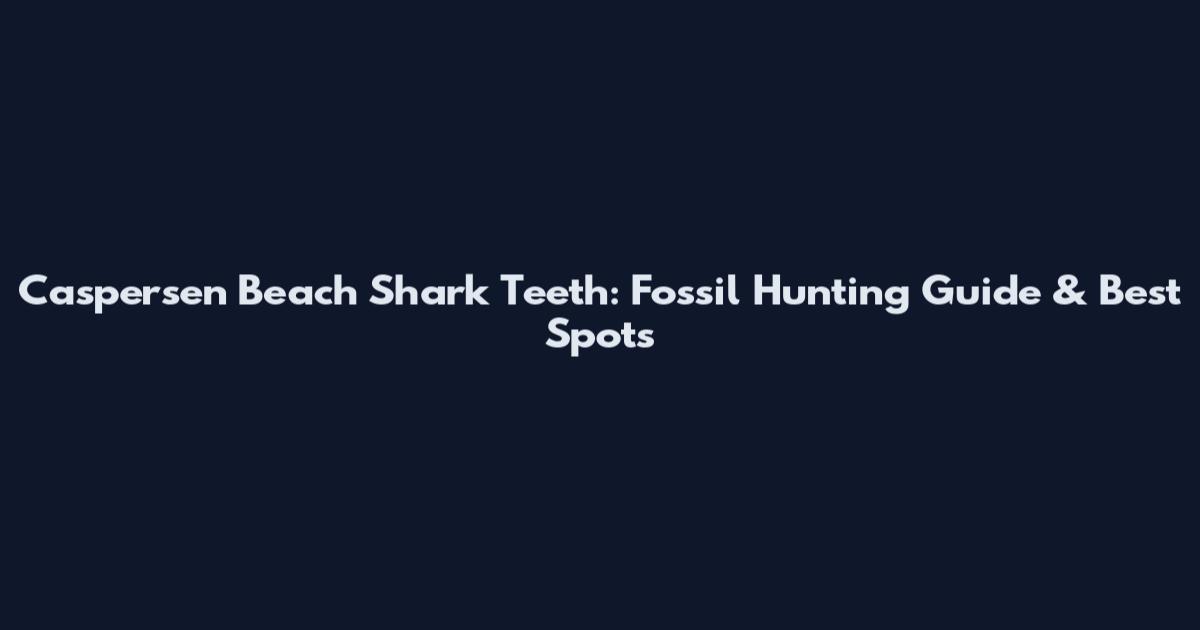 Caspersen Beach Shark Teeth: Fossil Hunting Guide & Best Spots