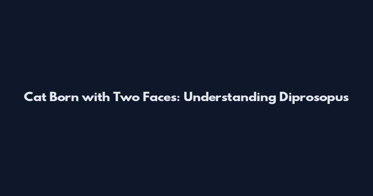 Cat Born with Two Faces: Understanding Diprosopus