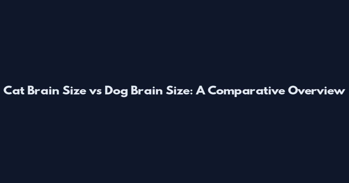Cat Brain Size vs Dog Brain Size: A Comparative Overview