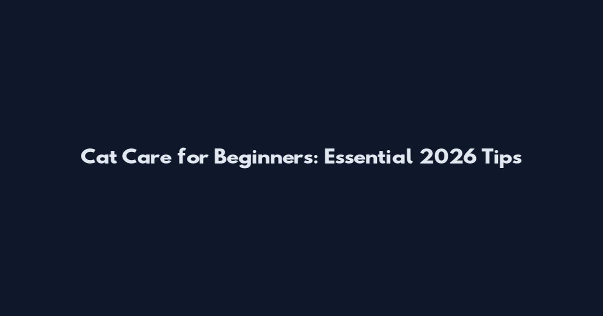 Cat Care for Beginners: Essential 2026 Tips