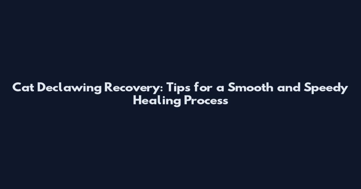 Cat Declawing Recovery: Tips for a Smooth and Speedy Healing Process